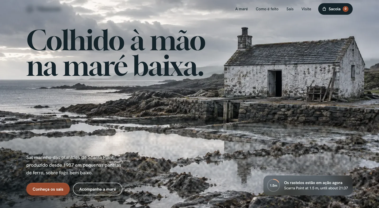 Página inicial de um site de sal marinho
